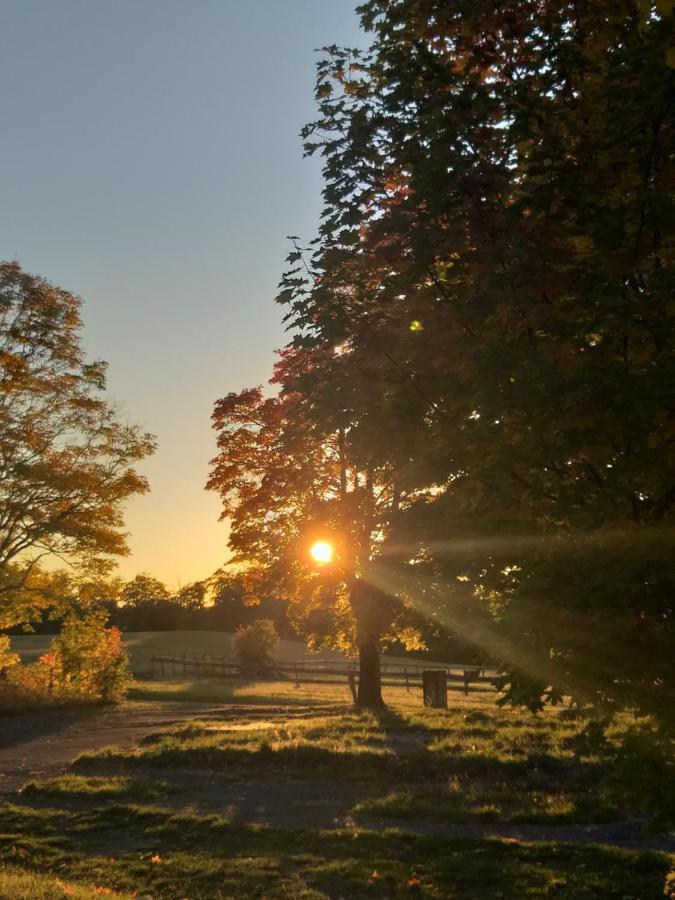 Ferienhaus Harzer Bauernhof Thale Exteriér fotografie